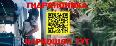 прущие крисы Пыть-Ях