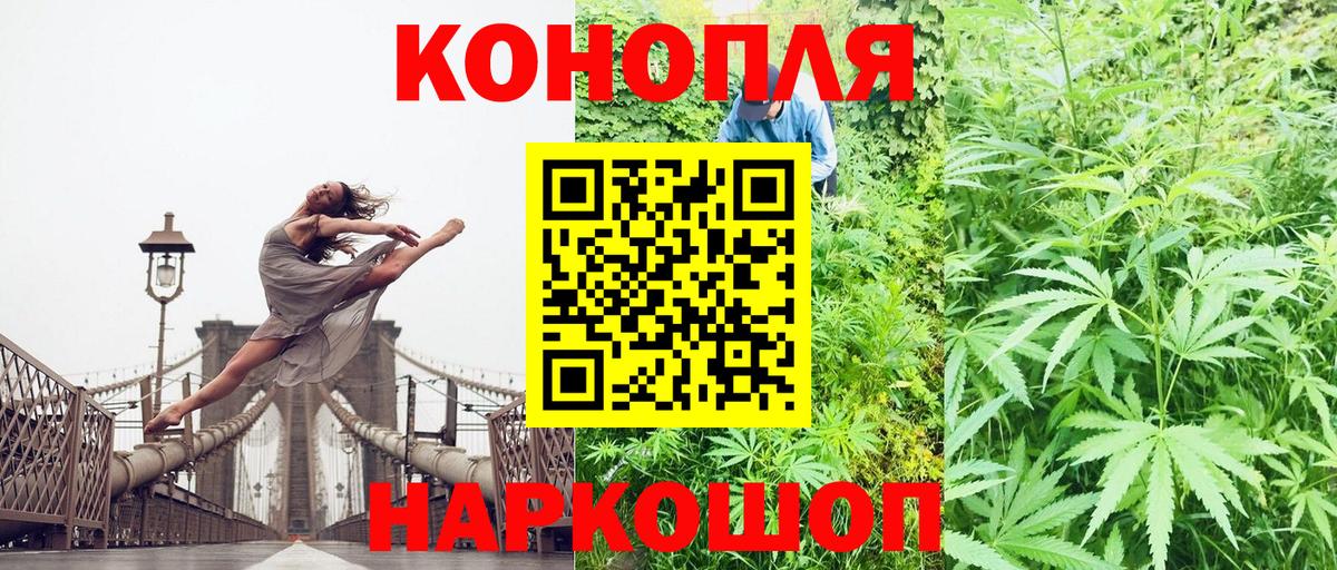 МАРИХУАНА планчик Санкт-Петербург